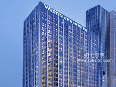 安徽合肥富力威斯汀酒店非標工程燈